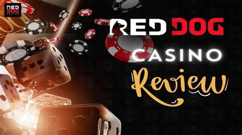 red dog casino aviator review|Red Dog Casino Review 2024 .